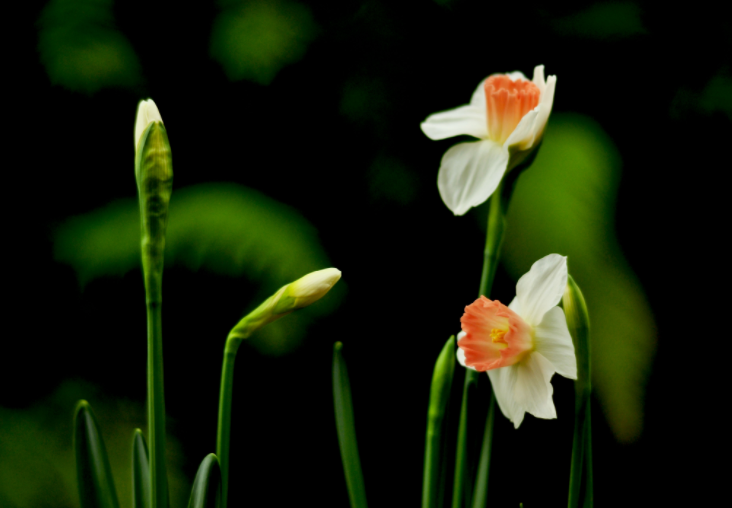 大家都做生態(tài)文明建設(shè)的實(shí)踐者、推動(dòng)者（生態(tài)論苑）