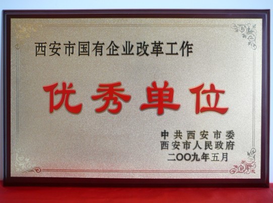 2009年5月，被西安市委、市政府評(píng)為西安市國(guó)企業(yè)改革工作優(yōu)秀單位
