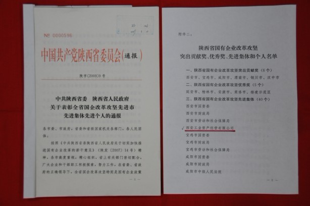 2009年2月，被陜西省委、省政府授予陜西省國(guó)有企業(yè)改革攻堅(jiān)先進(jìn)集體