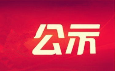 2015年市屬企業(yè)負責人薪酬情況