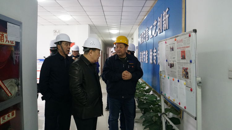 集團(tuán)領(lǐng)導(dǎo)金輝帶隊赴標(biāo)準(zhǔn)電梯、標(biāo)準(zhǔn)熱處理進(jìn)行工作調(diào)研