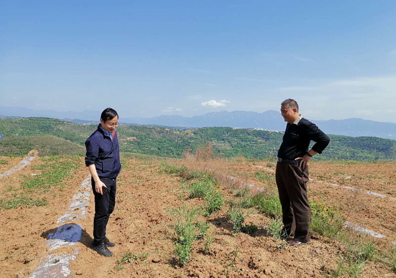 1558344245101916.png 1558344245101916.png