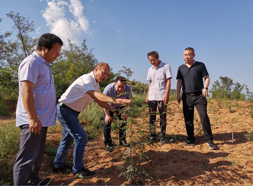 1569564507243172.jpg 1569564507243172.jpg